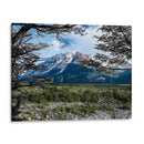 GIGANTE PATAGONIA - PATAGONIA, ARGENTINA - HiLalo | Cuadro decorativo de Canvas Lab