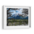 GIGANTE PATAGONIA - PATAGONIA, ARGENTINA - HiLalo | Cuadro decorativo de Canvas Lab