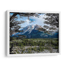 GIGANTE PATAGONIA - PATAGONIA, ARGENTINA - HiLalo | Cuadro decorativo de Canvas Lab