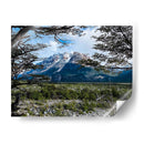 GIGANTE PATAGONIA - PATAGONIA, ARGENTINA - HiLalo | Cuadro decorativo de Canvas Lab