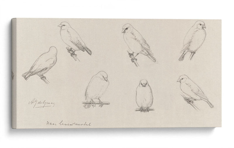 Bosquejo de canarios - Julie de Graag | Cuadro decorativo de Canvas Lab