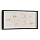 Bosquejo de canarios - Julie de Graag | Cuadro decorativo de Canvas Lab