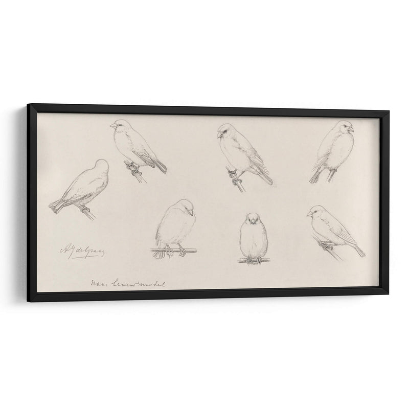 Bosquejo de canarios - Julie de Graag | Cuadro decorativo de Canvas Lab