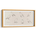 Bosquejo de canarios - Julie de Graag | Cuadro decorativo de Canvas Lab