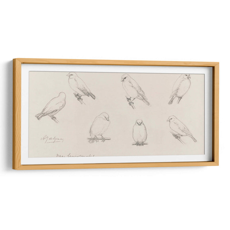 Bosquejo de canarios - Julie de Graag | Cuadro decorativo de Canvas Lab