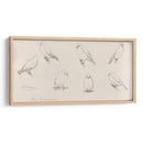 Bosquejo de canarios - Julie de Graag | Cuadro decorativo de Canvas Lab