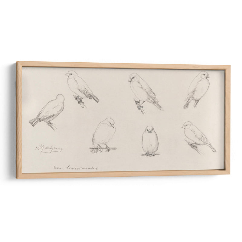 Bosquejo de canarios - Julie de Graag | Cuadro decorativo de Canvas Lab