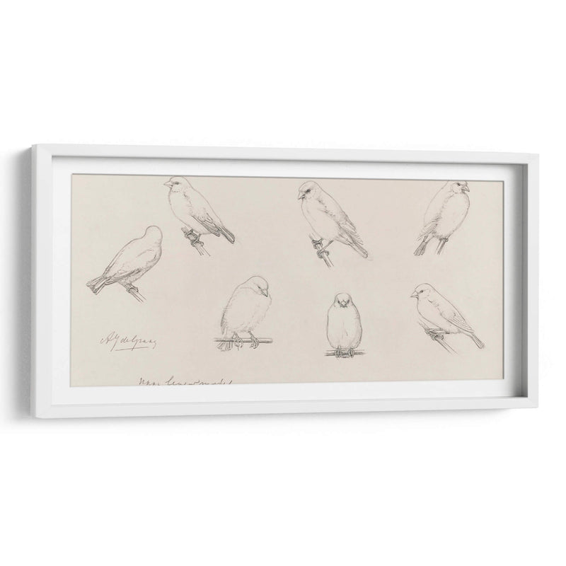 Bosquejo de canarios - Julie de Graag | Cuadro decorativo de Canvas Lab