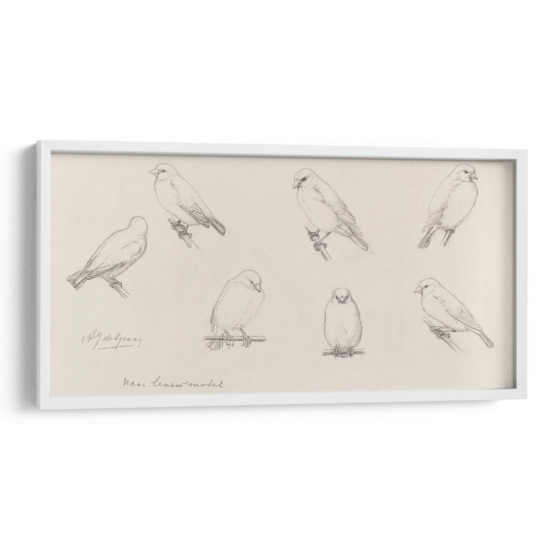Bosquejo de canarios - Julie de Graag | Cuadro decorativo de Canvas Lab