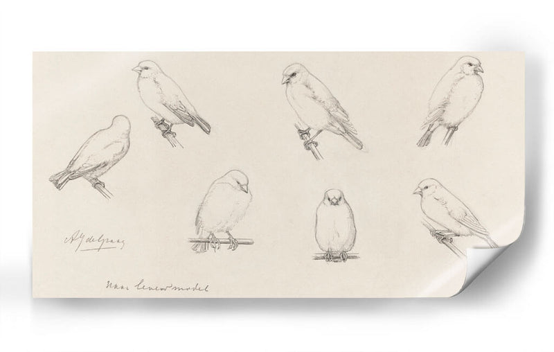 Bosquejo de canarios - Julie de Graag | Cuadro decorativo de Canvas Lab