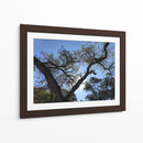 Árbol al atardecer - mem | Cuadro decorativo de Canvas Lab