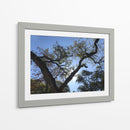 Árbol al atardecer - mem | Cuadro decorativo de Canvas Lab