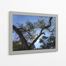 Árbol al atardecer - mem | Cuadro decorativo de Canvas Lab