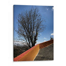 Árbol en Cholula, Puebla, México - mem | Cuadro decorativo de Canvas Lab