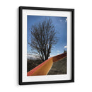 Árbol en Cholula, Puebla, México - mem | Cuadro decorativo de Canvas Lab