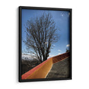 Árbol en Cholula, Puebla, México - mem | Cuadro decorativo de Canvas Lab