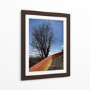 Árbol en Cholula, Puebla, México - mem | Cuadro decorativo de Canvas Lab
