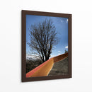 Árbol en Cholula, Puebla, México - mem | Cuadro decorativo de Canvas Lab