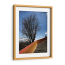 Árbol en Cholula, Puebla, México - mem | Cuadro decorativo de Canvas Lab