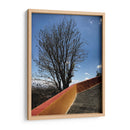 Árbol en Cholula, Puebla, México - mem | Cuadro decorativo de Canvas Lab