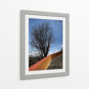 Árbol en Cholula, Puebla, México - mem | Cuadro decorativo de Canvas Lab