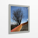 Árbol en Cholula, Puebla, México - mem | Cuadro decorativo de Canvas Lab