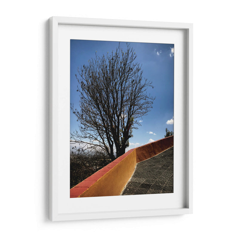 Árbol en Cholula, Puebla, México - mem | Cuadro decorativo de Canvas Lab