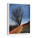 Árbol en Cholula, Puebla, México - mem | Cuadro decorativo de Canvas Lab