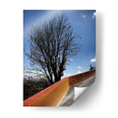 Árbol en Cholula, Puebla, México - mem | Cuadro decorativo de Canvas Lab