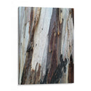 Corteza 1 - mem | Cuadro decorativo de Canvas Lab