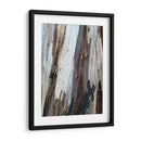 Corteza 1 - mem | Cuadro decorativo de Canvas Lab