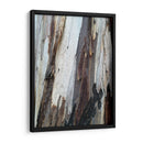 Corteza 1 - mem | Cuadro decorativo de Canvas Lab