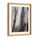 Corteza 1 - mem | Cuadro decorativo de Canvas Lab