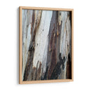 Corteza 1 - mem | Cuadro decorativo de Canvas Lab