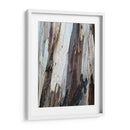 Corteza 1 - mem | Cuadro decorativo de Canvas Lab