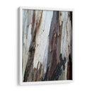 Corteza 1 - mem | Cuadro decorativo de Canvas Lab