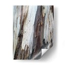 Corteza 1 - mem | Cuadro decorativo de Canvas Lab