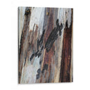 Corteza 2 - mem | Cuadro decorativo de Canvas Lab