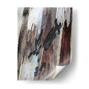 Corteza 2 - mem | Cuadro decorativo de Canvas Lab