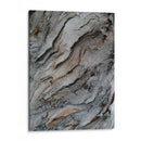 Corteza 3 - mem | Cuadro decorativo de Canvas Lab