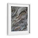 Corteza 3 - mem | Cuadro decorativo de Canvas Lab