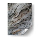 Corteza 3 - mem | Cuadro decorativo de Canvas Lab