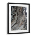 Corteza 4 - mem | Cuadro decorativo de Canvas Lab