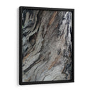 Corteza 4 - mem | Cuadro decorativo de Canvas Lab