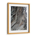 Corteza 4 - mem | Cuadro decorativo de Canvas Lab