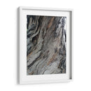 Corteza 4 - mem | Cuadro decorativo de Canvas Lab