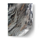 Corteza 4 - mem | Cuadro decorativo de Canvas Lab