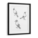 Tres bocetos de un cuervo - Julie de Graag | Cuadro decorativo de Canvas Lab