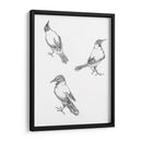 Tres bocetos de un cuervo - Julie de Graag | Cuadro decorativo de Canvas Lab