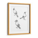 Tres bocetos de un cuervo - Julie de Graag | Cuadro decorativo de Canvas Lab